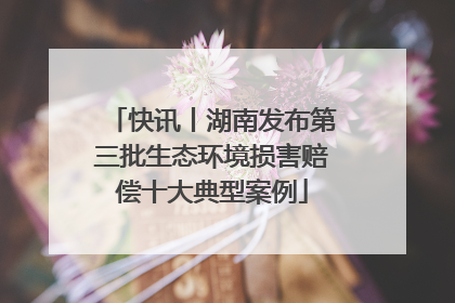 快讯丨湖南发布第三批生态环境损害赔偿十大典型案例