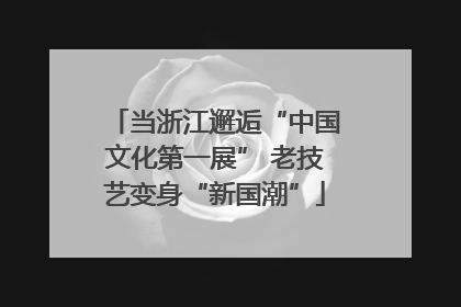 当浙江邂逅“中国文化第一展” 老技艺变身“新国潮”