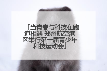当青春与科技在跑道相遇 郑州航空港区举行第一届青少年科技运动会
