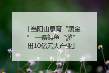 当阳山泉育“黑金” 一条鲟鱼“游”出10亿元大产业