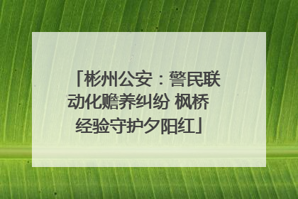 彬州公安：警民联动化赡养纠纷 枫桥经验守护夕阳红