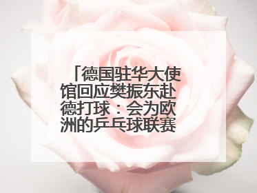 德国驻华大使馆回应樊振东赴德打球：会为欧洲的乒乓球联赛带来新的光彩