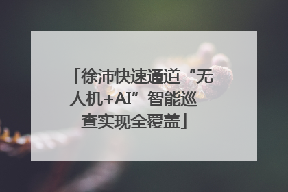 徐沛快速通道“无人机+AI”智能巡查实现全覆盖