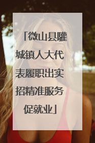 微山县驩城镇人大代表履职出实招精准服务促就业