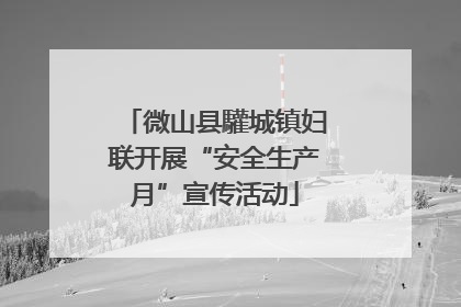 微山县驩城镇妇联开展“安全生产月”宣传活动