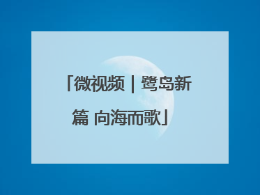 微视频｜鹭岛新篇 向海而歌