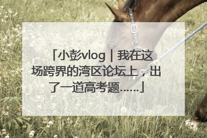 小彭vlog｜我在这场跨界的湾区论坛上，出了一道高考题……