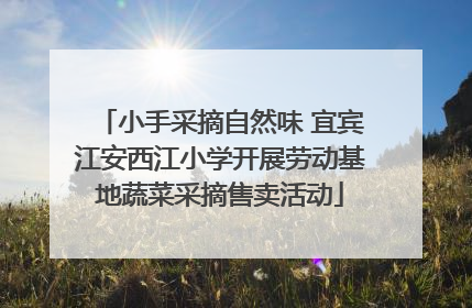 小手采摘自然味 宜宾江安西江小学开展劳动基地蔬菜采摘售卖活动