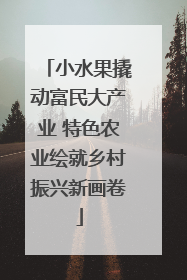 小水果撬动富民大产业 特色农业绘就乡村振兴新画卷