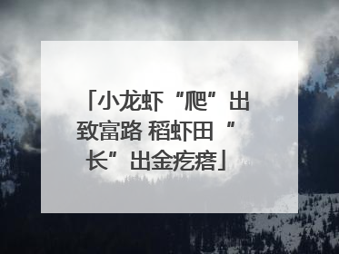 小龙虾“爬”出致富路 稻虾田“长”出金疙瘩