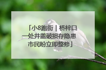 小8跑街｜桥梓口一处井盖破损存隐患 市民盼立即整修