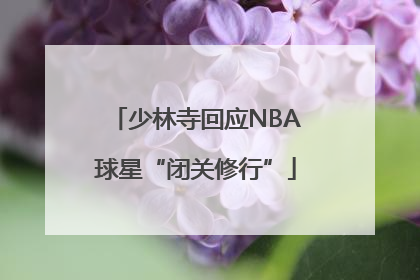 少林寺回应NBA球星“闭关修行”