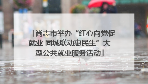 尚志市举办“红心向党促就业 同城联动惠民生”大型公共就业服务活动