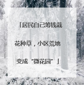居民自己筹钱栽花种草，小区荒地变成“微花园”