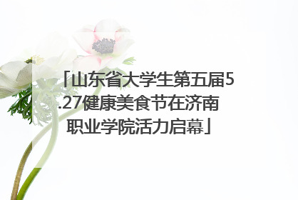 山东省大学生第五届5.27健康美食节在济南职业学院活力启幕