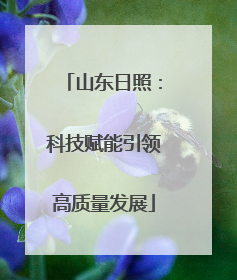 山东日照：科技赋能引领高质量发展
