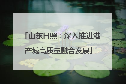 山东日照：深入推进港产城高质量融合发展