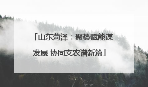 山东菏泽：聚势赋能谋发展 协同支农谱新篇
