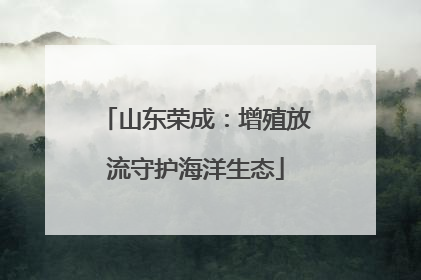 山东荣成：增殖放流守护海洋生态