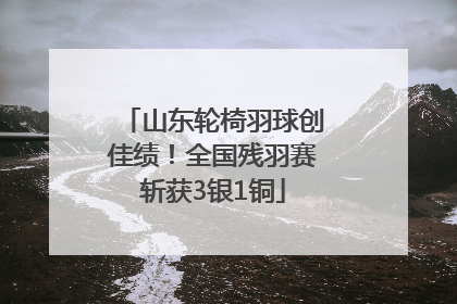 山东轮椅羽球创佳绩！全国残羽赛斩获3银1铜