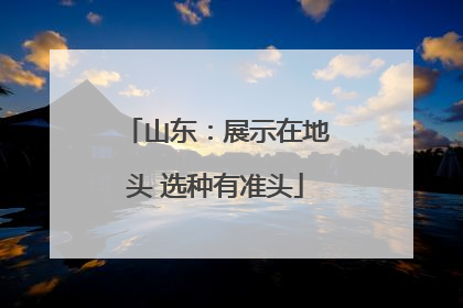 山东：展示在地头 选种有准头