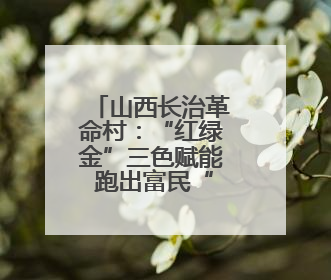 山西长治革命村：“红绿金”三色赋能 跑出富民“加速度”
