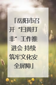 岳阳市召开“扫黄打非”工作推进会 持续筑牢文化安全屏障