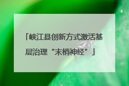 峡江县创新方式激活基层治理“末梢神经”