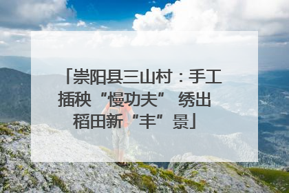崇阳县三山村：手工插秧“慢功夫” 绣出稻田新“丰”景