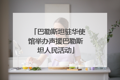巴勒斯坦驻华使馆举办声援巴勒斯坦人民活动