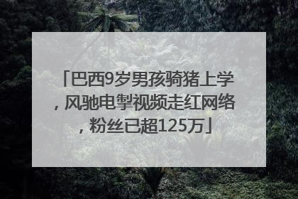 巴西9岁男孩骑猪上学，风驰电掣视频走红网络，粉丝已超125万