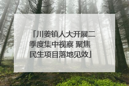 川姜镇人大开展二季度集中视察 聚焦民生项目落地见效