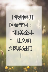 常州经开区金丰村：“和美金丰” 让文明乡风吹进门