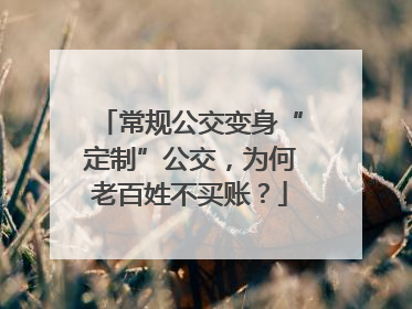 常规公交变身“定制”公交，为何老百姓不买账？