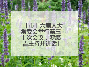 市十六届人大常委会举行第三十次会议，罗缵吉主持并讲话