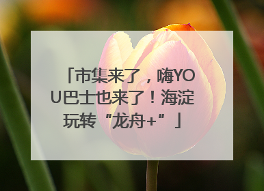 市集来了，嗨YOU巴士也来了！海淀玩转“龙舟+”