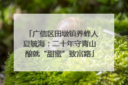 广信区田墩镇养蜂人夏毓海：二十年守青山酿就“甜蜜”致富路