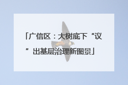 广信区：大树底下“议”出基层治理新图景