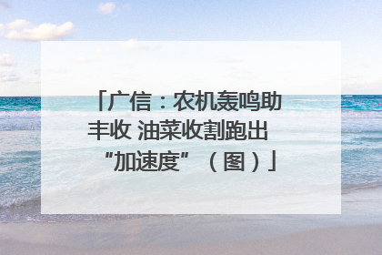 广信：农机轰鸣助丰收 油菜收割跑出“加速度”（图）
