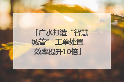 广水打造“智慧城管” 工单处置效率提升10倍