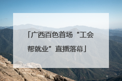 广西百色首场“工会帮就业”直播落幕