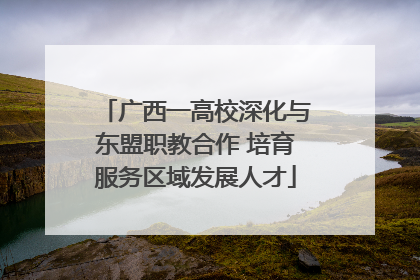 广西一高校深化与东盟职教合作 培育服务区域发展人才
