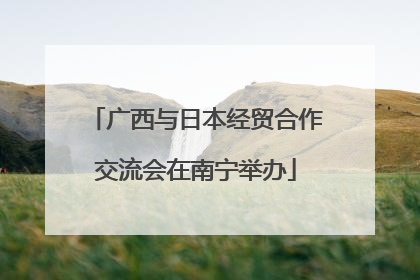 广西与日本经贸合作交流会在南宁举办