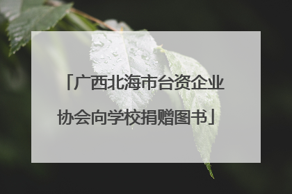 广西北海市台资企业协会向学校捐赠图书