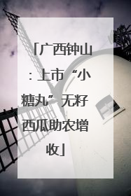 广西钟山：上市“小糖丸”无籽西瓜助农增收