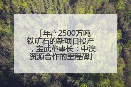 年产2500万吨铁矿石的新项目投产，宝武董事长：中澳资源合作的里程碑