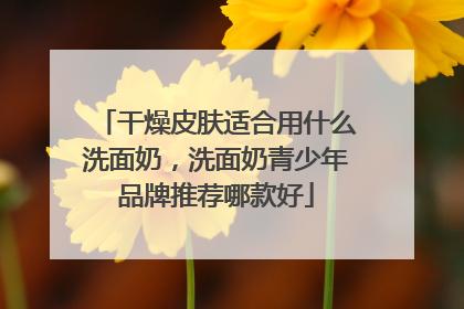 干燥皮肤适合用什么洗面奶，洗面奶青少年品牌推荐哪款好