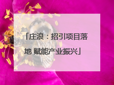 庄浪：招引项目落地 赋能产业振兴