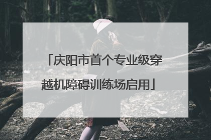 庆阳市首个专业级穿越机障碍训练场启用