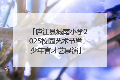 庐江县城南小学2025校园艺术节暨少年宫才艺展演